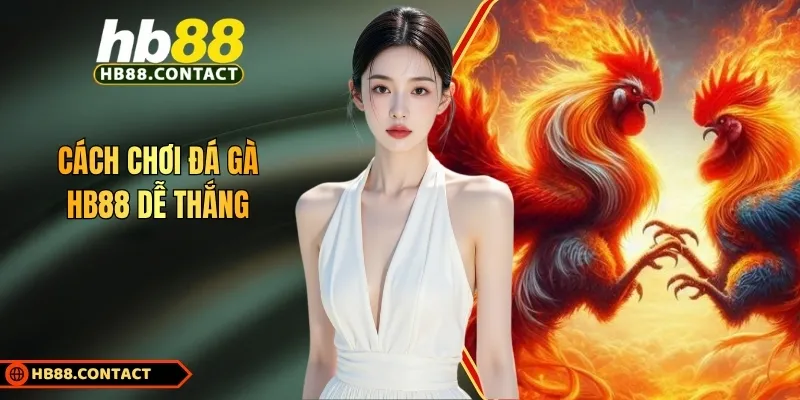 Cách Chơi Đá Gà HB88: Trải Nghiệm Nhiều Trận Chiến Khốc Liệt 1 Cach Choi Da Ga Hb88 De Thang